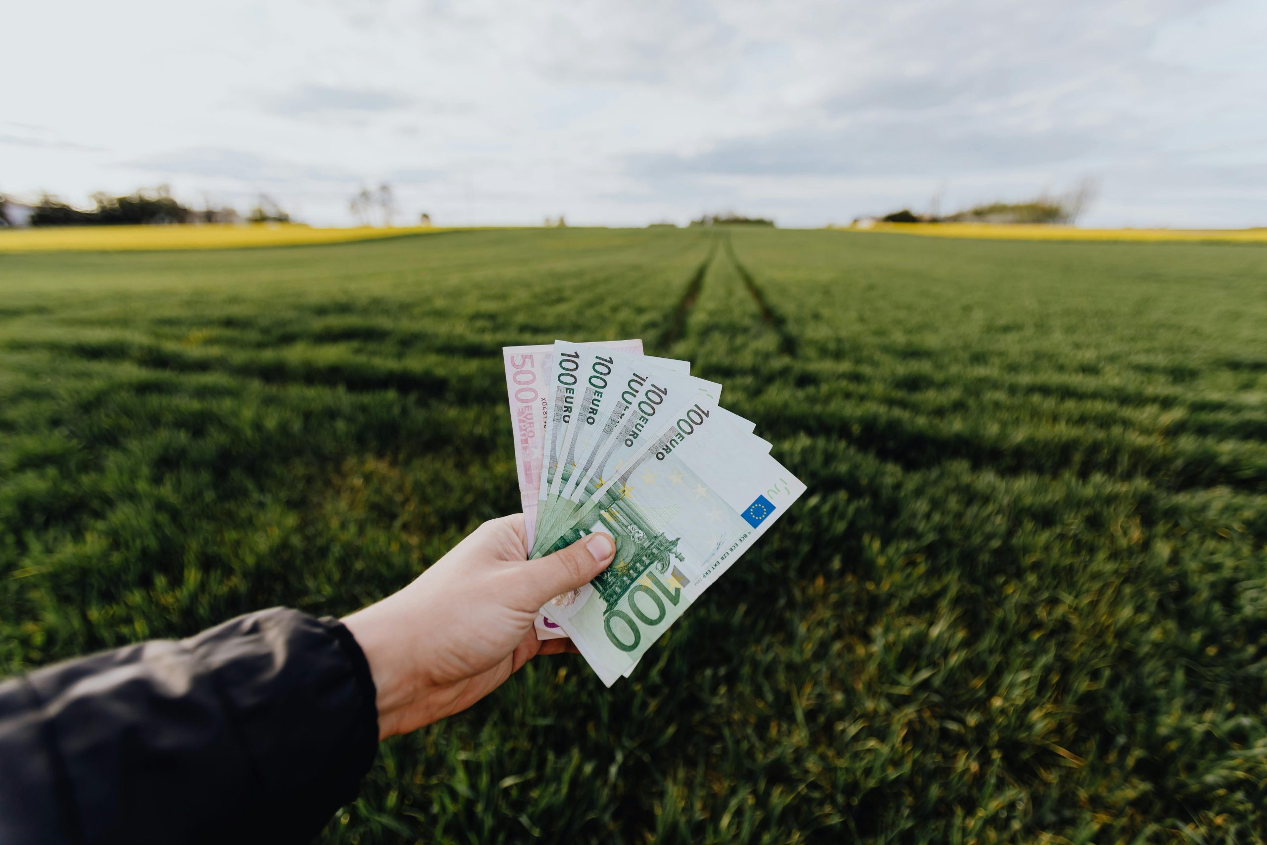 Panorama des investissements : 7 manières de placer son argent